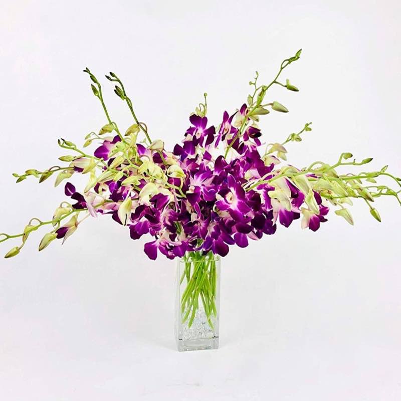 Large Orchid Bunch in Glass Vase - Purple